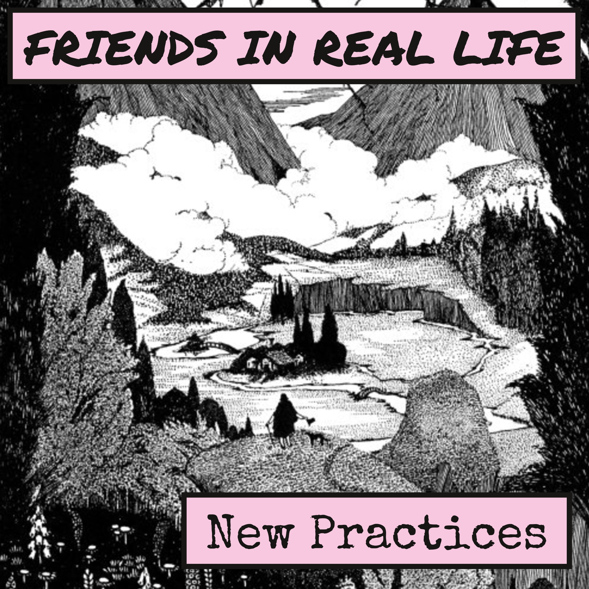 Cover art for New Practices album by Friends In Real Life